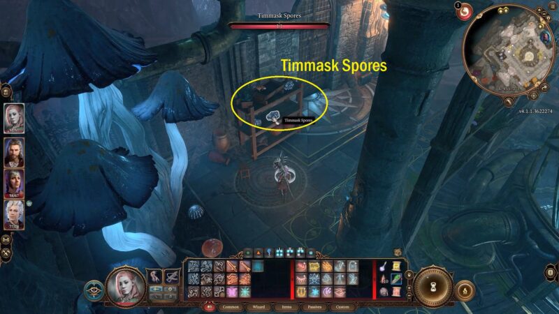 Where To Find Tongue Of Madness Timmask Spores Baldurs Gate 3