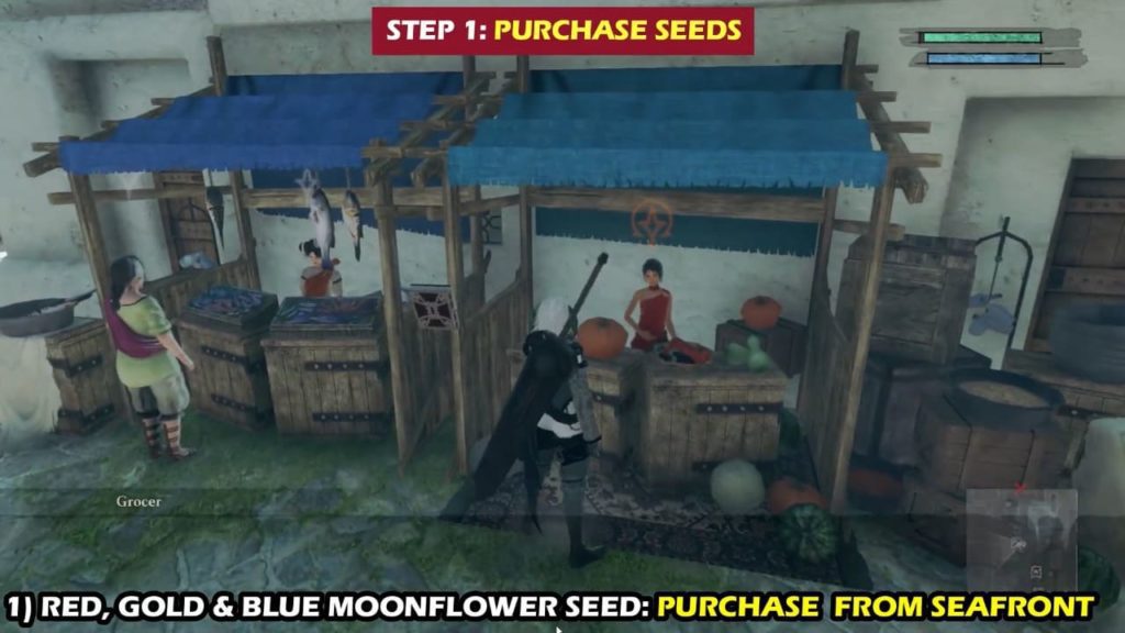 NieR Replicant White Moonflower Guide: How to Get Legendary Gardener –  GameSkinny