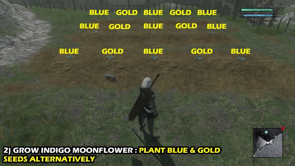 Moonflower seed farming