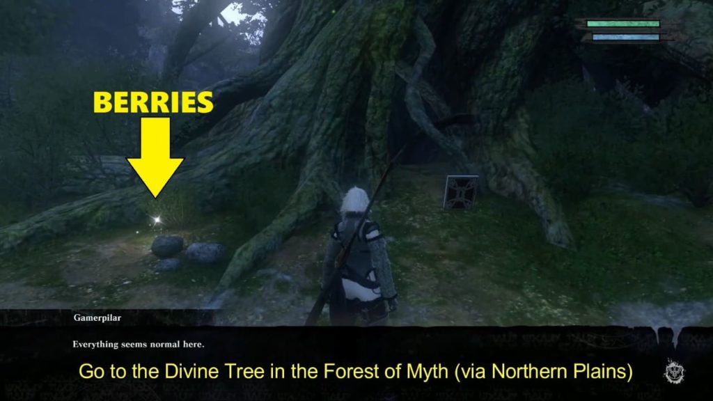 Forest Of Myth Divine Tree Answers For Part Two In Nier Replicant