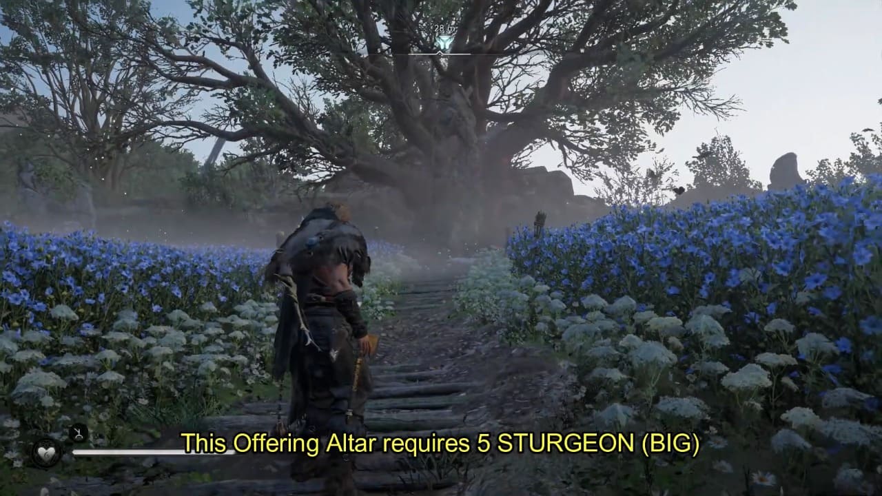 How to Get 5 Sturgeon (Big) for Rathbride Offering Altar Assassin’s