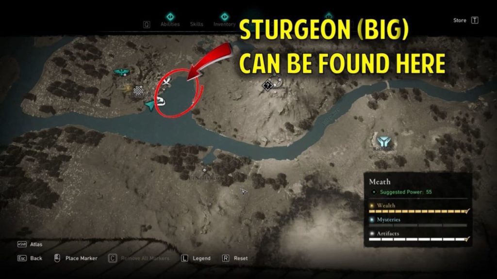 How to Get 5 Sturgeon (Big) for Rathbride Offering Altar Assassin’s