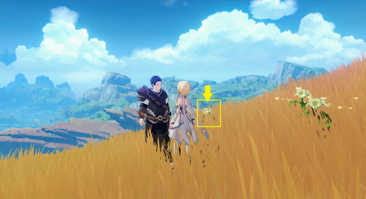 Look for offerings to place before the memorial Genshin Impact 2.6