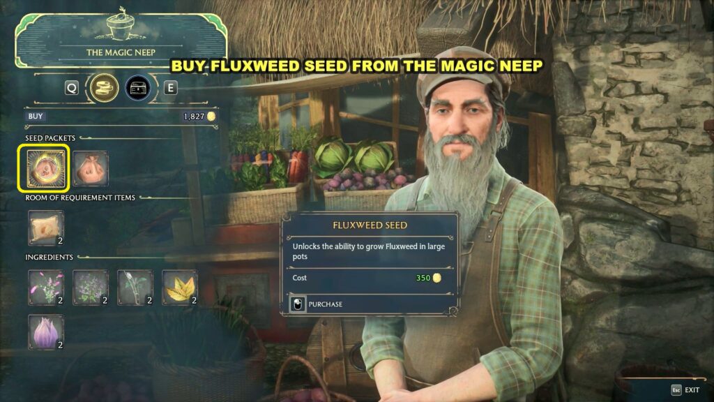 How to Plant Fluxweed in Hogwarts Legacy - Prima Games