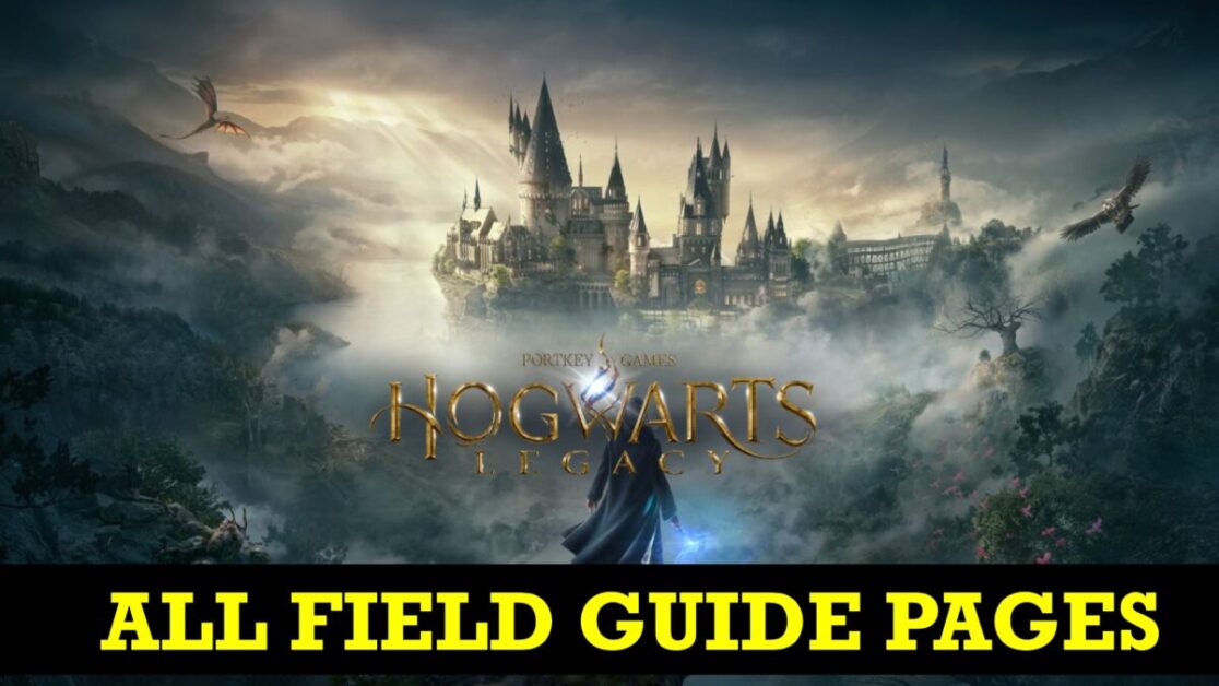All Field Guide Pages Locations | Hogwarts Legacy