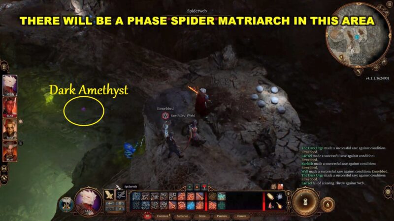 Search The Cellar Quest The Necromancy Of Thay Full Guide Baldur S   5 18 800x450 